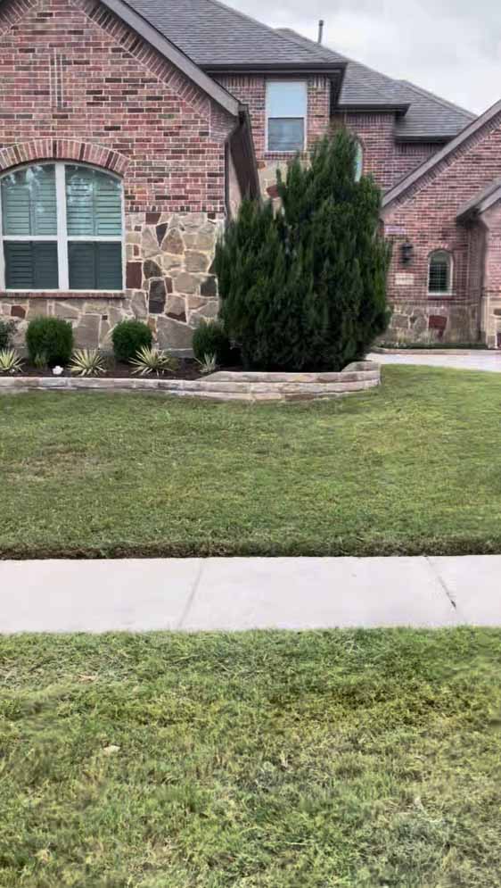 Front yard borders after