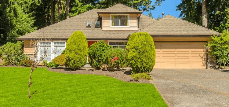 Lawn Aeration