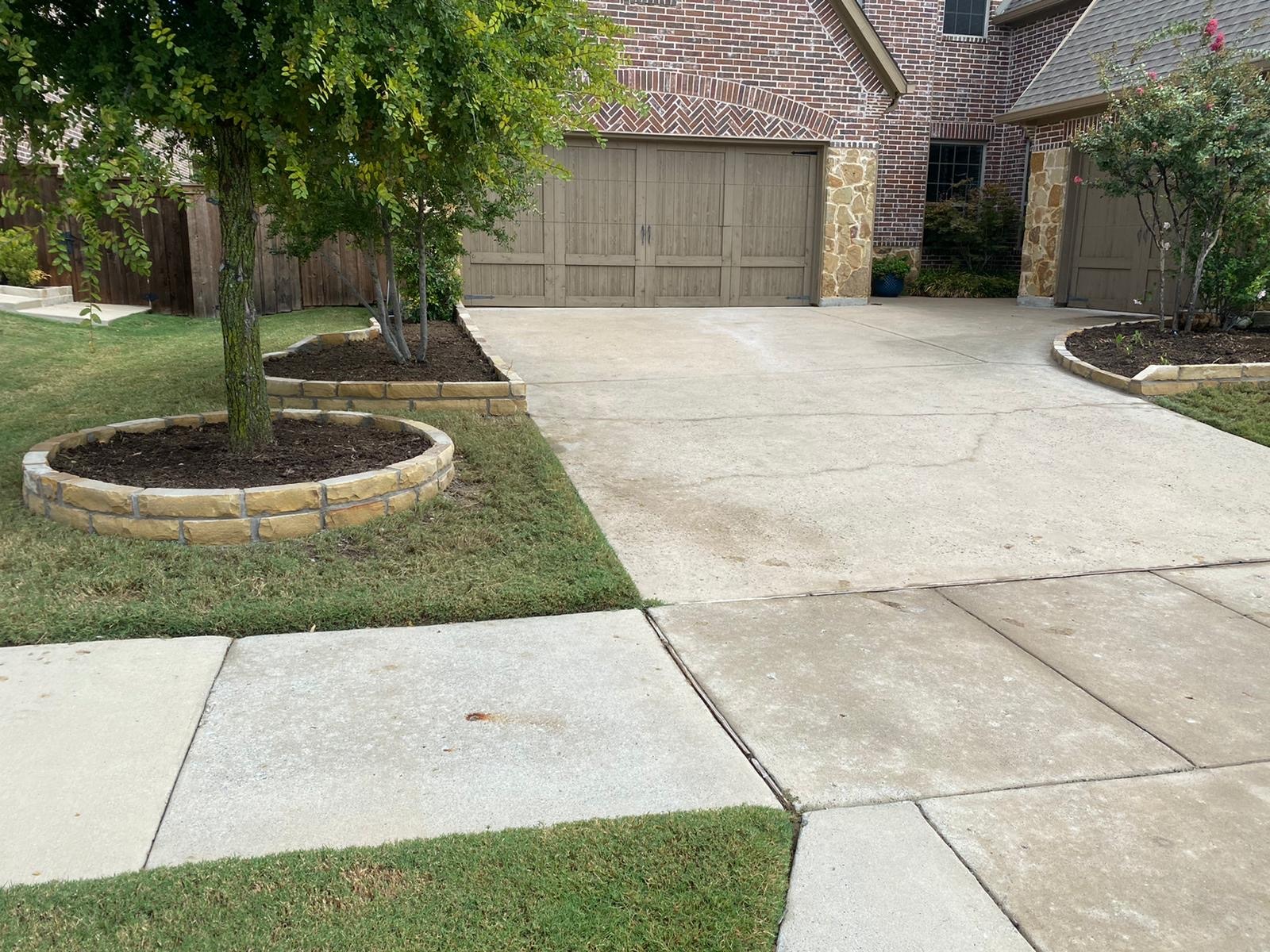 Stone border tree beds