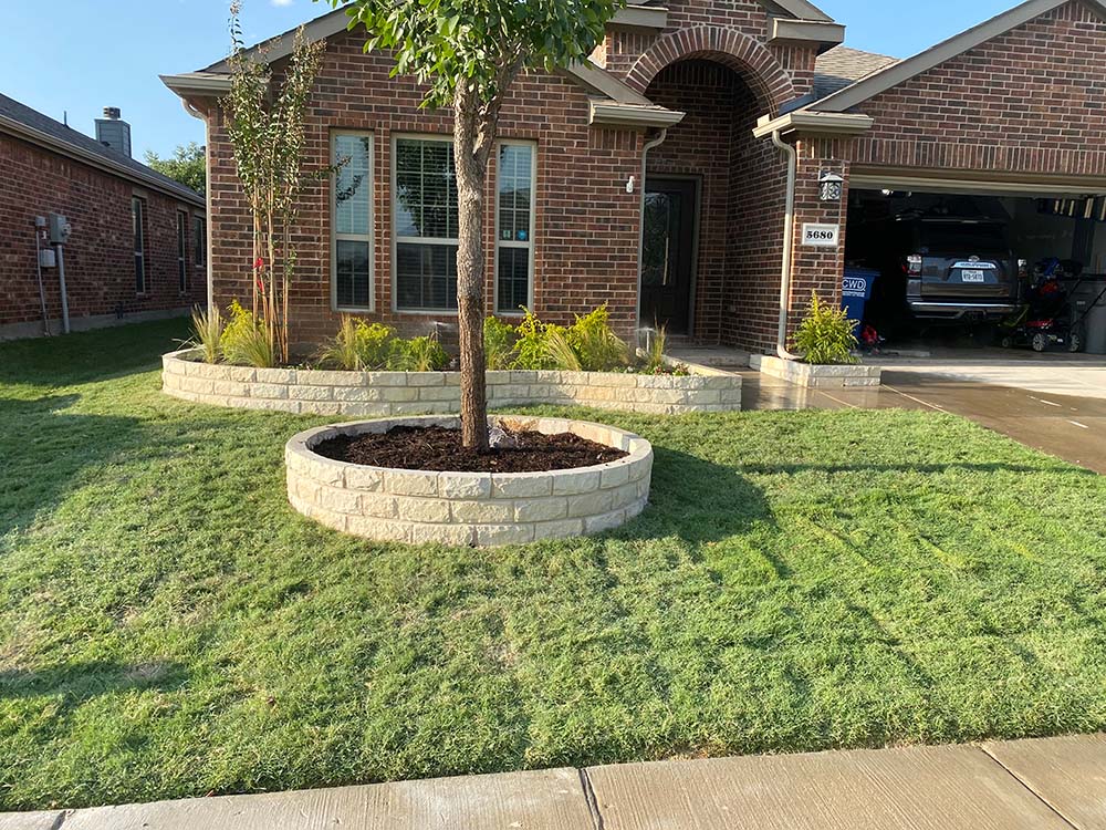 Tree stone border