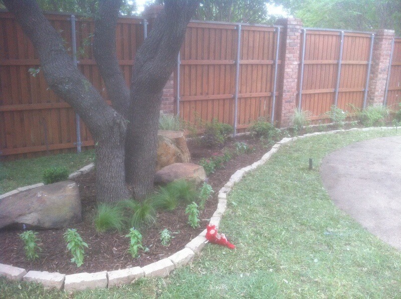 How to Manage Tree Growth- A Helpful Guide