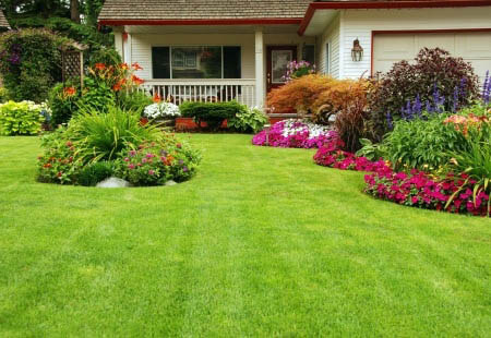 How you can improve your landscape - JCs Landscaping