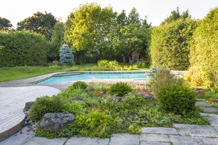 Landscaping Around the Pool: Advice & Design Ideas