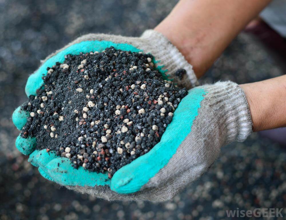 Lawn Fertilization Service | DFW Metroplex