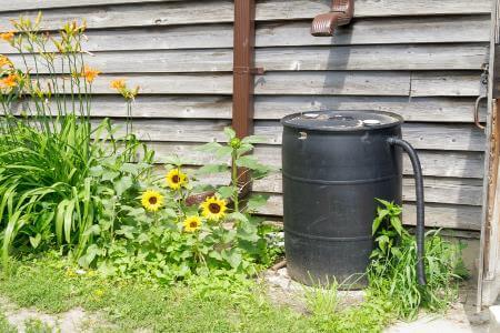Rain Water Runoff Ideas- Dry up Your Yard