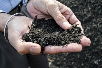 soil1