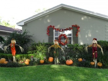 thanksgiving yard decor scarecrow with pumpkins