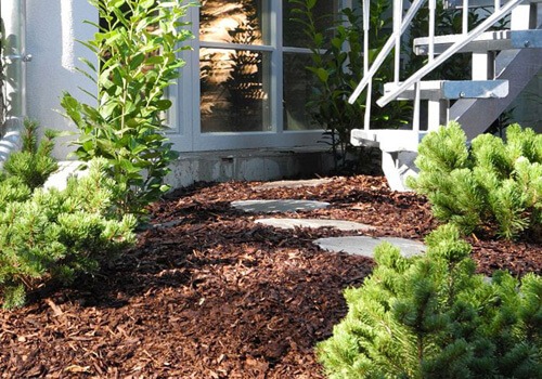 How to Put Mulch Around Plants