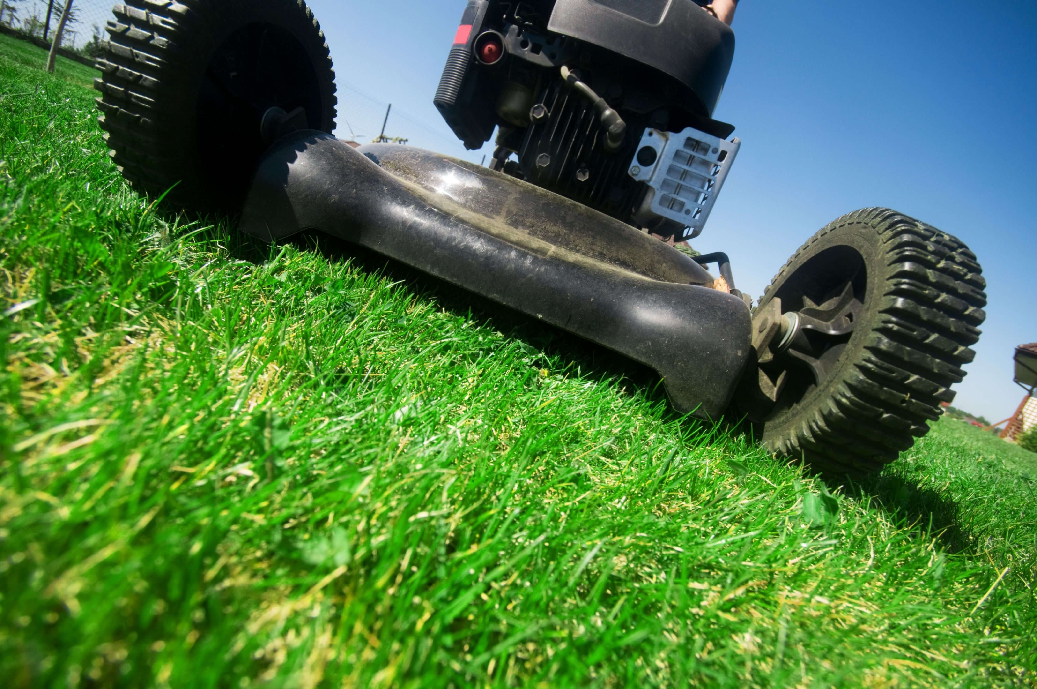 mow lawn