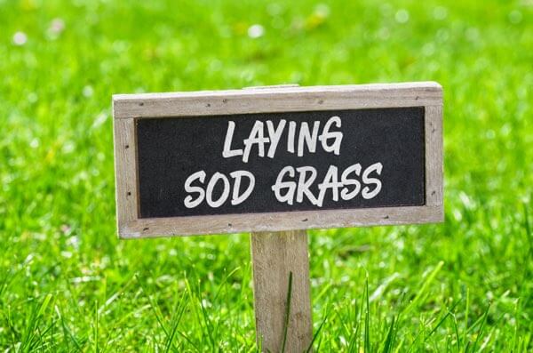 Fort Worth Sod Installation | JC's Landscaping