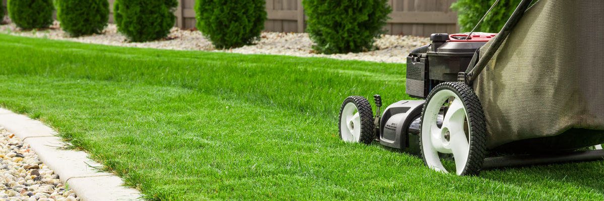 Prosper Lawn Care Service - Lawn Maintenance in Prosper, TX