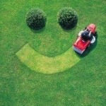 lawn services the colony
