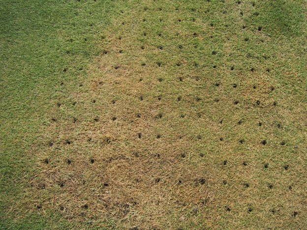 When should a lawn be aerated?