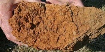 clay soil