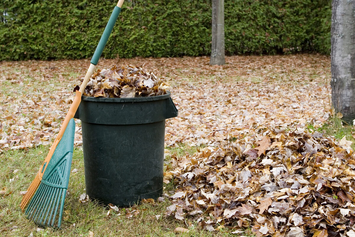 Fall Leaf Clean Up Tools - Easy to use tools