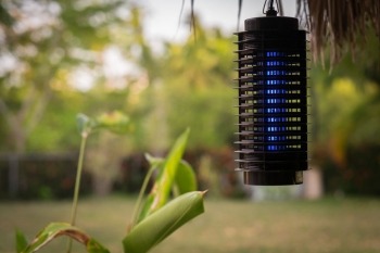 backyard bug zapper