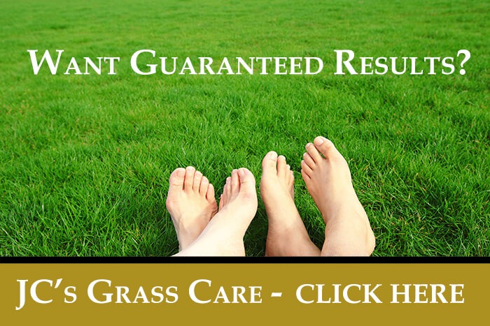 Basic Lawn Care For Common North Texas Grass