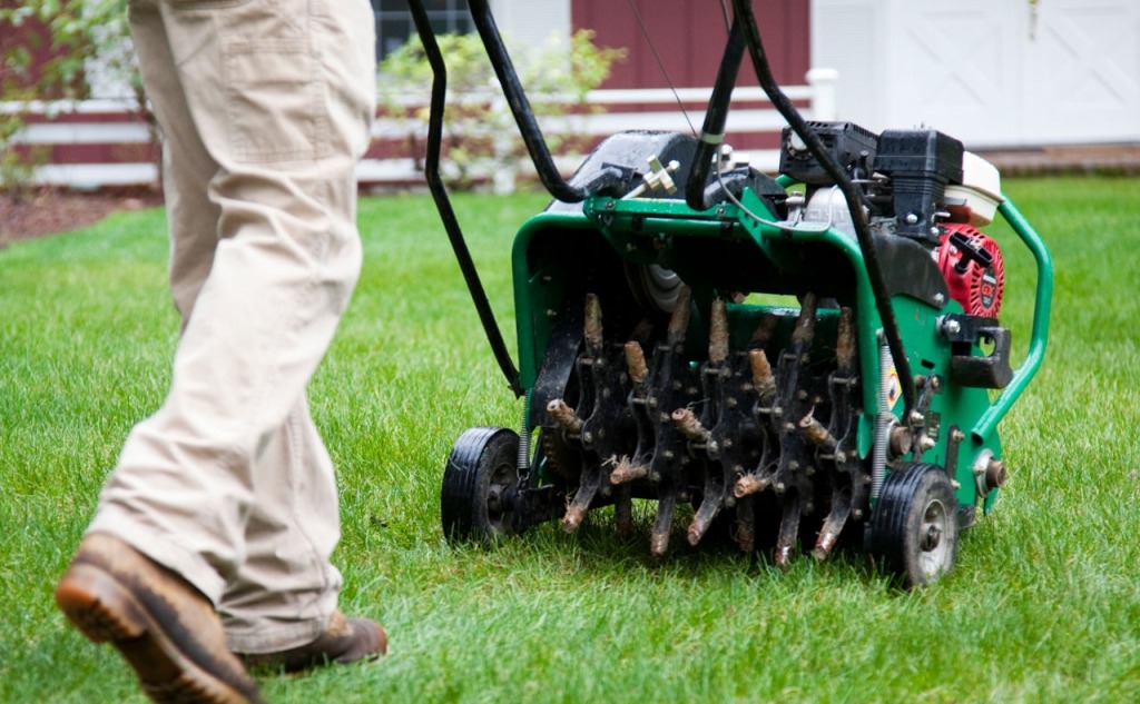 how aeration can benefit your lawn