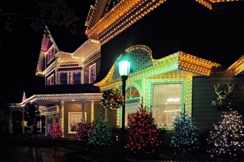 Christmas lights bushes