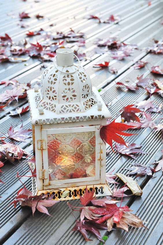 Attractive Solar Garden Lights