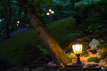 illuminate your trees