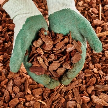 Brown Wood Mulch