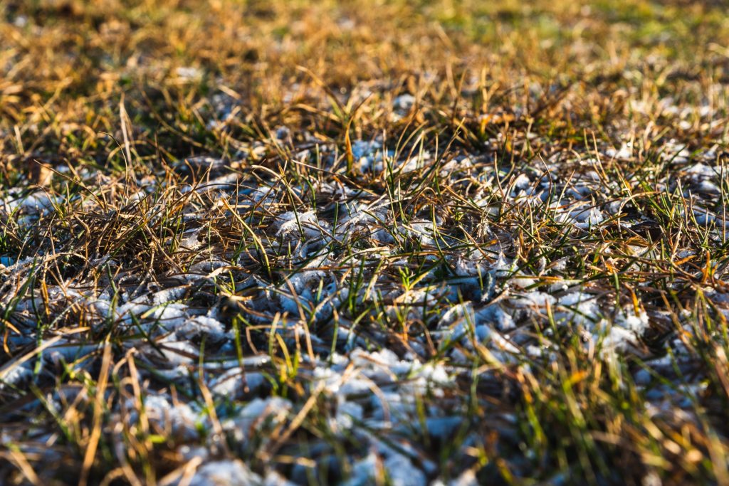 winter lawn care cheklist