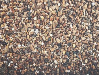 protect plants with pebbles