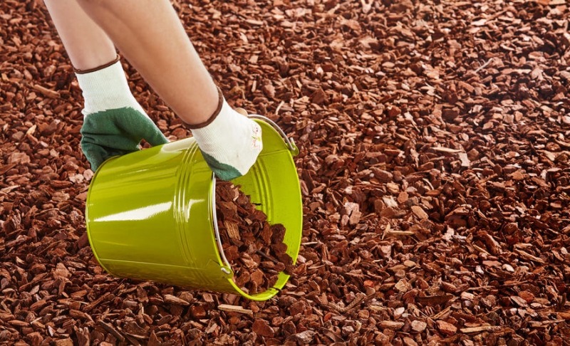 What Type of Mulch Keeps Bugs Away