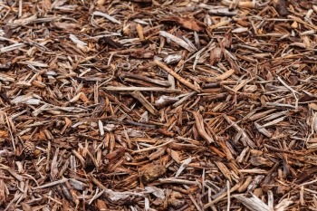how to pull weeds out-then add mulch
