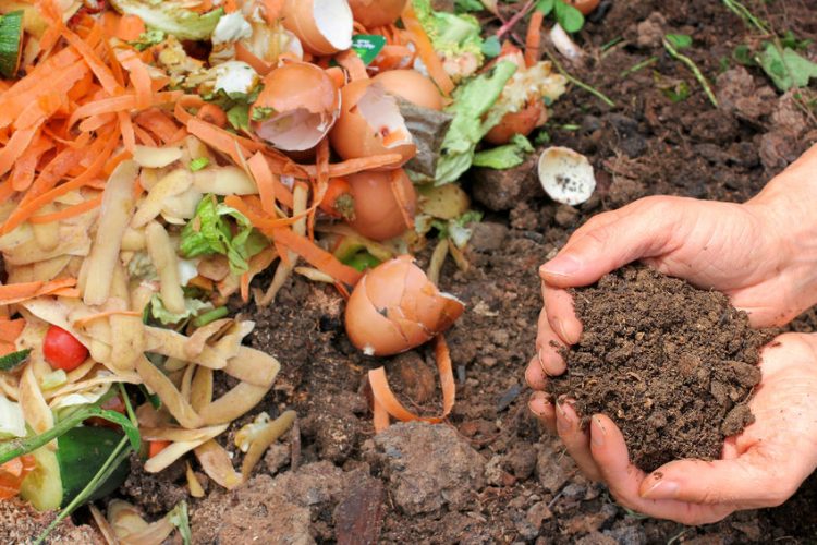Composting Guide for Beginners- Composting 101
