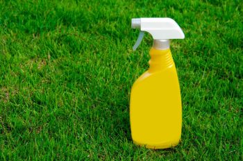 spray bottle for weed killer
