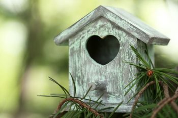 How a Birdhouse Can Attract Birds and Brighten Your Garden