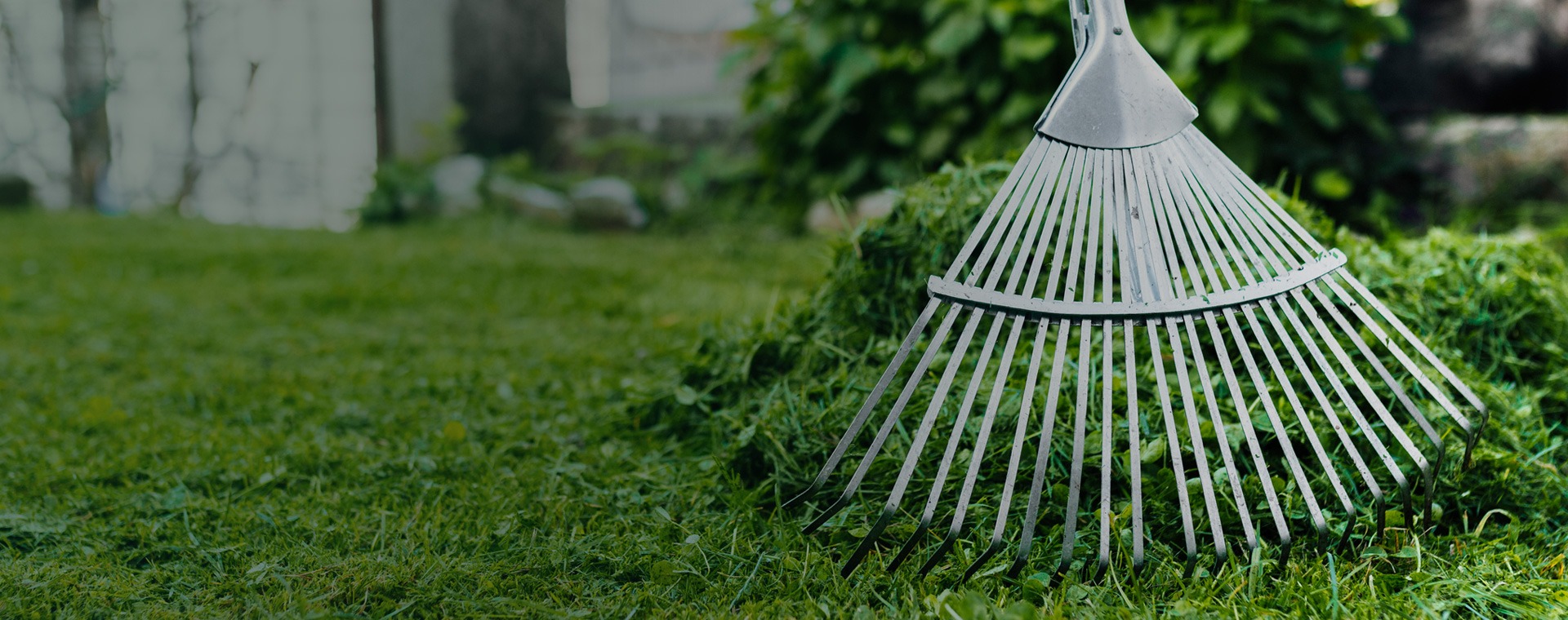 What is a Spring Cleanup? And Why You Should Schedule One
