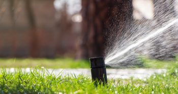 how long to water lawn in summer