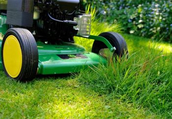 weed control for bermuda grass