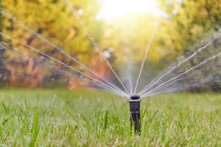Get a Sprinkler System Checkup