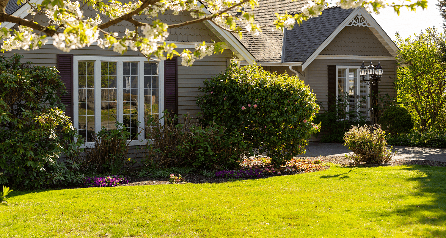 Celina, TX Lawn Care Maintenance - Mowing & Edging