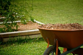 How to Prepare Raised Garden Beds for Spring