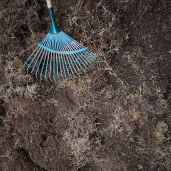 rake soil