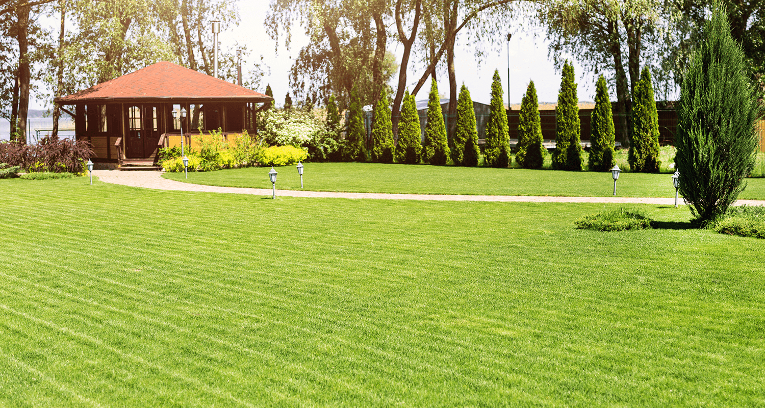 Little Elm Lawn Care- JC's Landscaping & Lawn Care Services