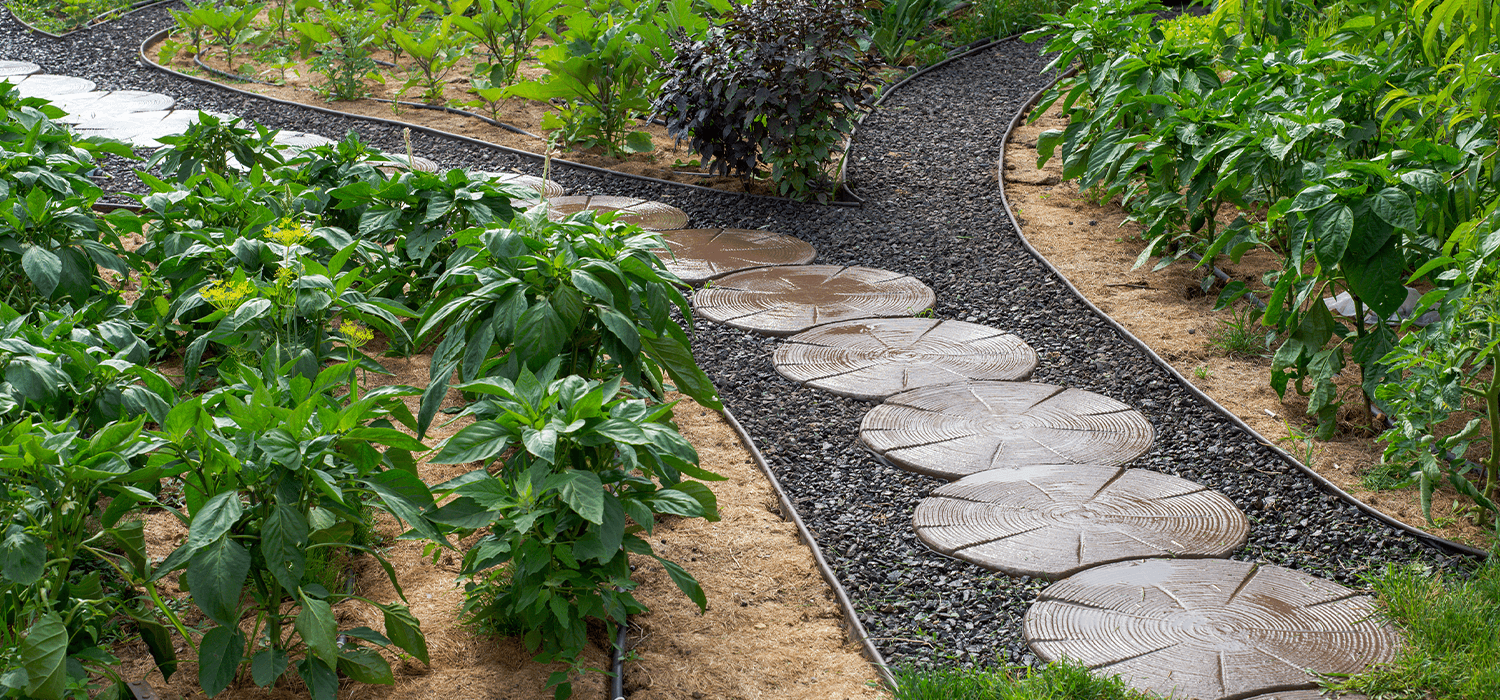 Which is better for Landscaping, Rock or Mulch?