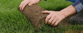 Sod installation service