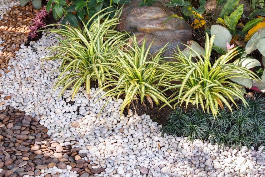 Important Things to Know About Landscaping- 10 Helpful Tips