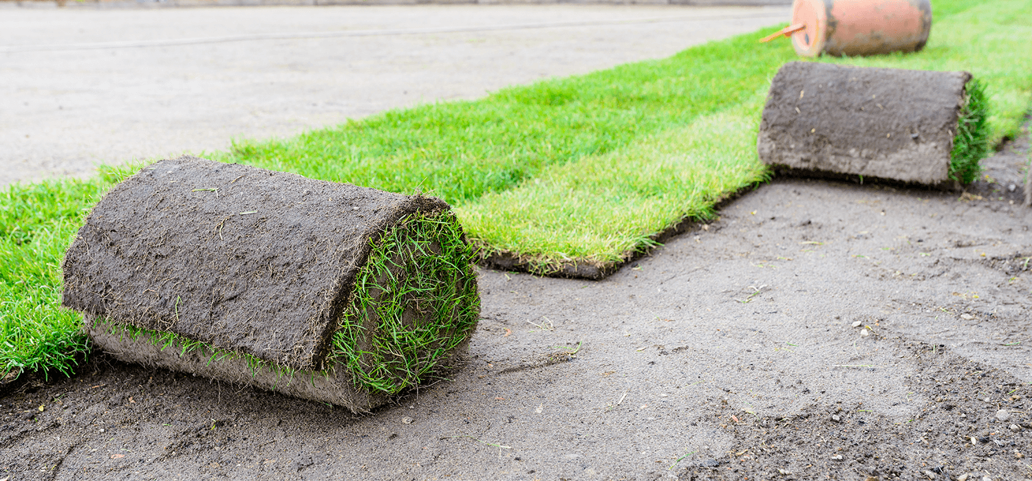 Celina Sod Installation - Sod Grass Celina, TX and nearby cities