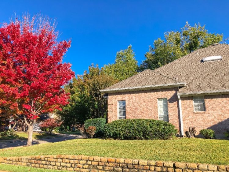 How to Prepare Lawn for Fall: A Guide for Seasonal Success