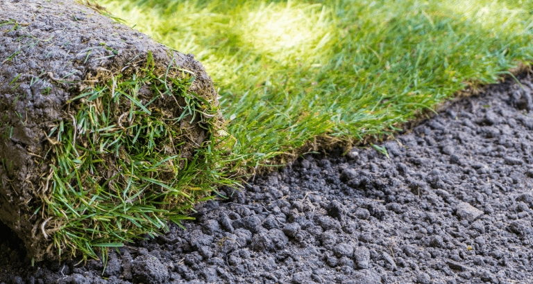 plano Sod installation service