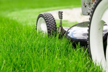 how to take care of your lawn in summer