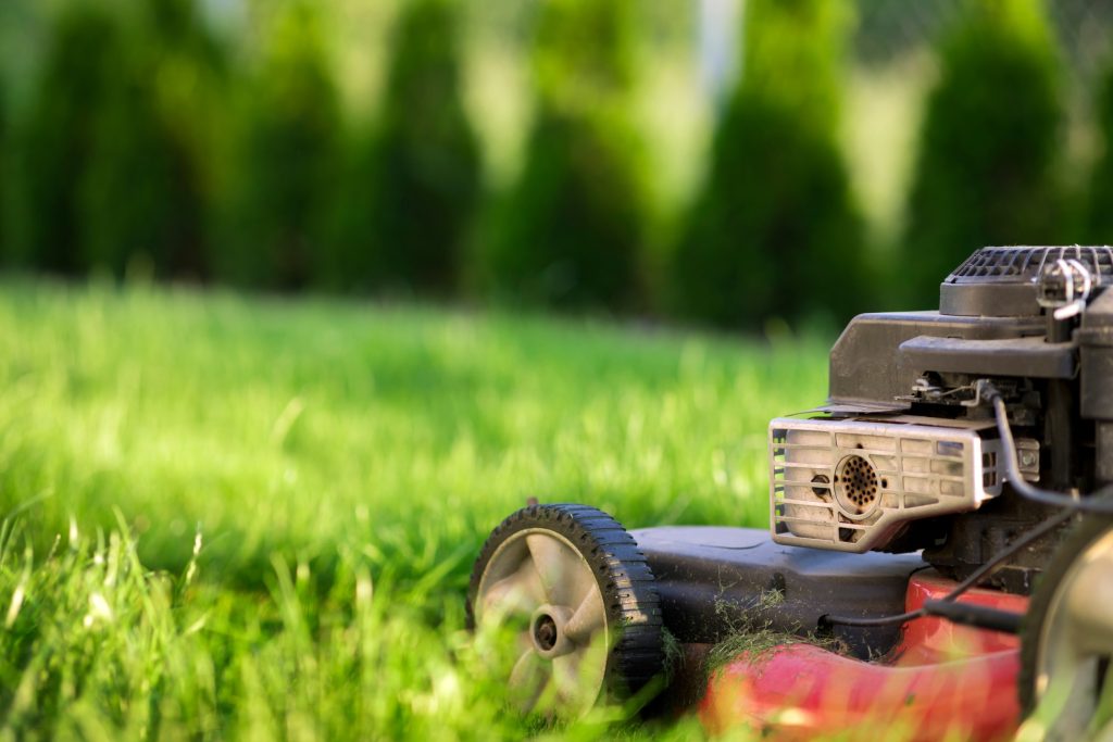 Allen Lawn Care Service - Lawn Maintenance in Allen, TX