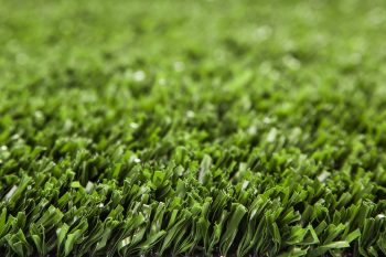 artificial turf vs natural grass: what is best for you?